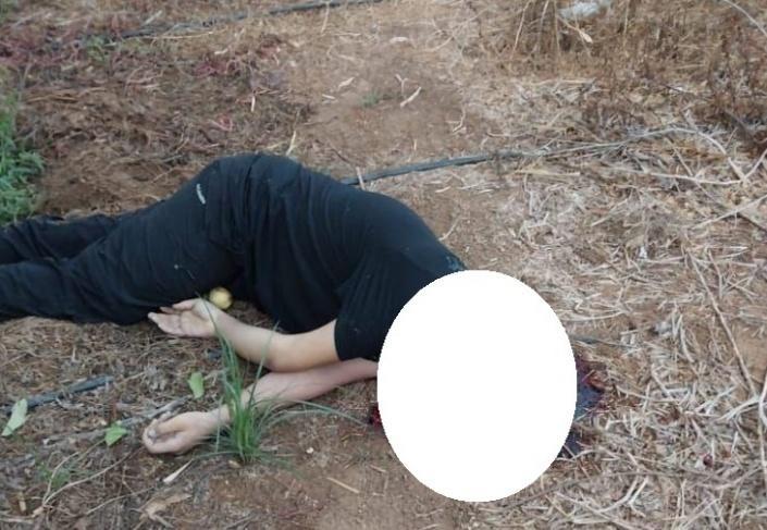 العثور على جثة شاب جنوب قلقيلية