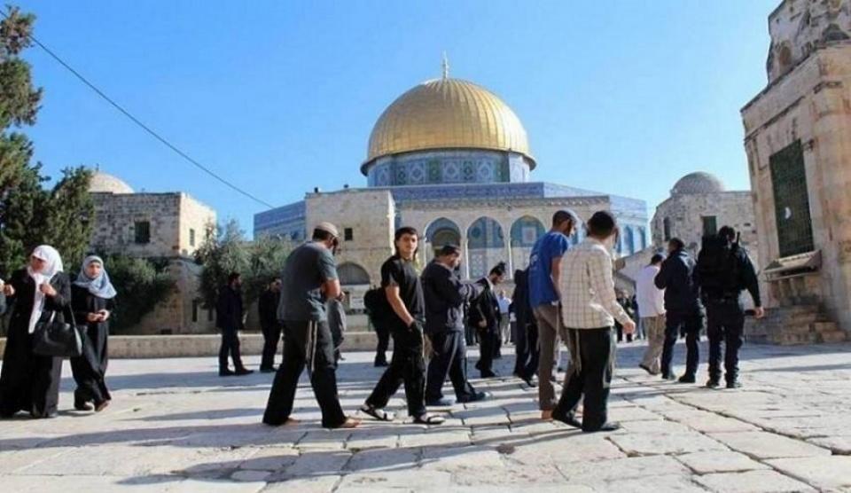 العشرات من المستوطنين يقتحمون الأقصى