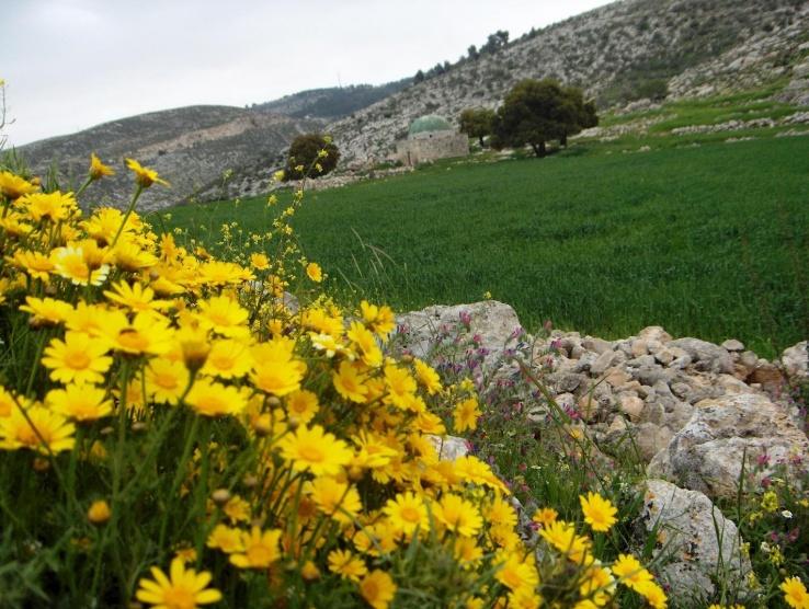 الطقس: أجواء صافية ولطيفة