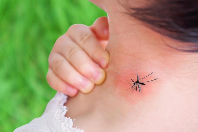 أعراض حمى الضنك عند الأطفال