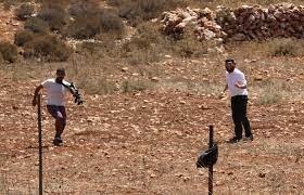مستوطنون يسيجون أراضي بخربة الفارسية في الأغوار الشمالية