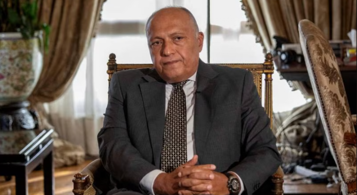 شكري يطالب