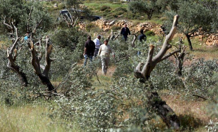 ارتفاع ملحوظ في وتيرة اعتداءات الاحتلال والمستوطنين في بيت لحم