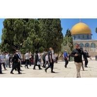عشرات المستوطنين يقتحمون 