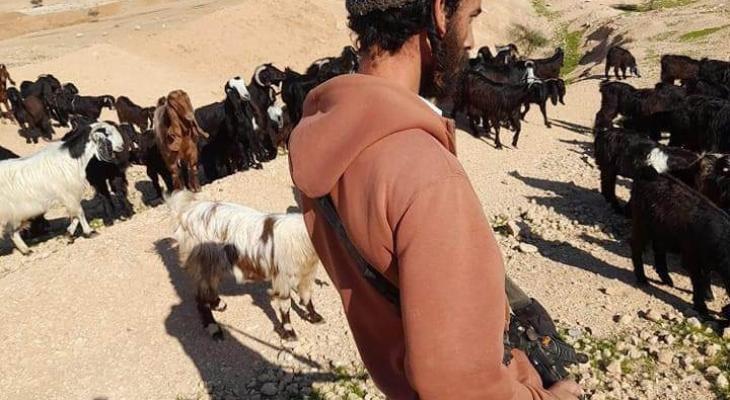 مستوطنون يطردون رعاة أغنام شمال أريحا