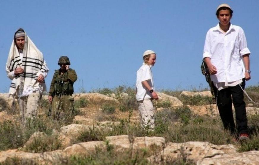 مستوطنون يعتدون بالضرب على راعيي أغنام