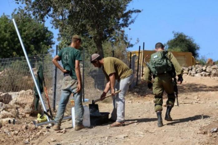 مستوطنون يسيجون أراضٍ رعوية في الأغوار تمهيداً للاستيلاء عليها