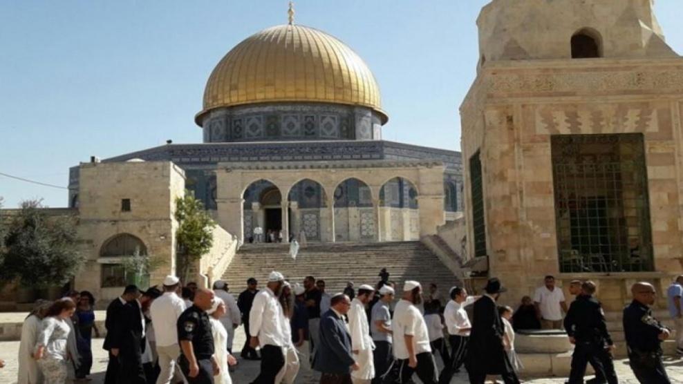 103 مستوطنين يقتحمون المسجد الأقصى
