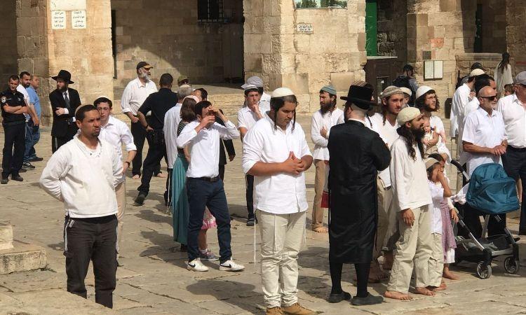 184 مستوطنًا يقتحمون باحات 