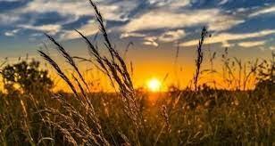 حالة الطقس: ارتفاع على درجات الحرارة