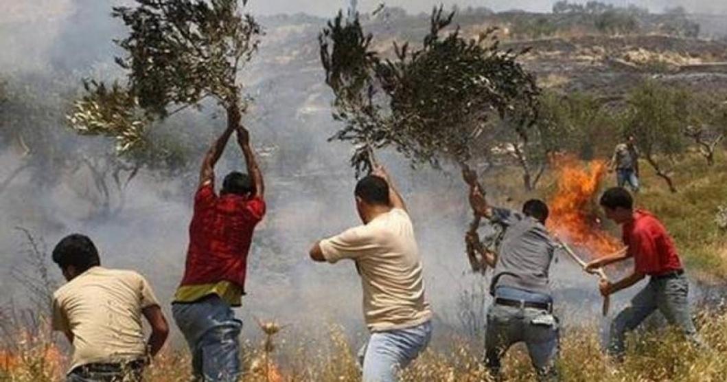 مستوطنون يشعلون النيران في أراض بحوسان