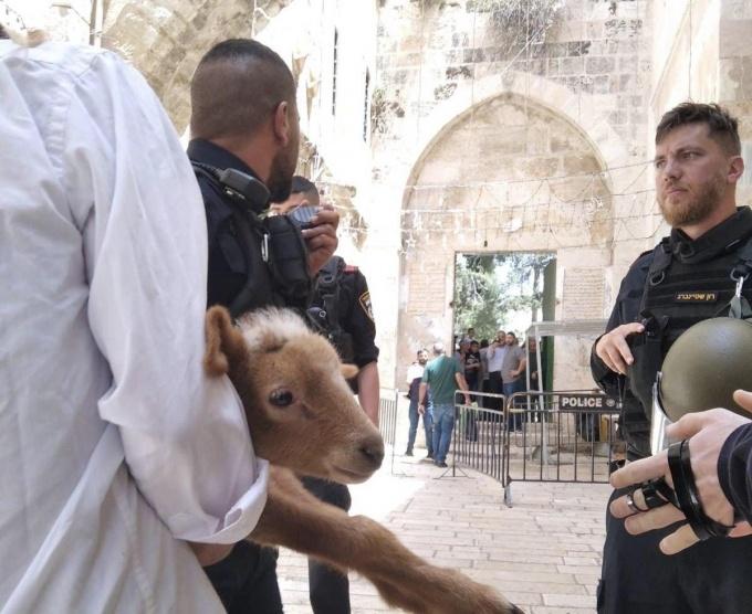 مستوطنون يحاولون إدخال 