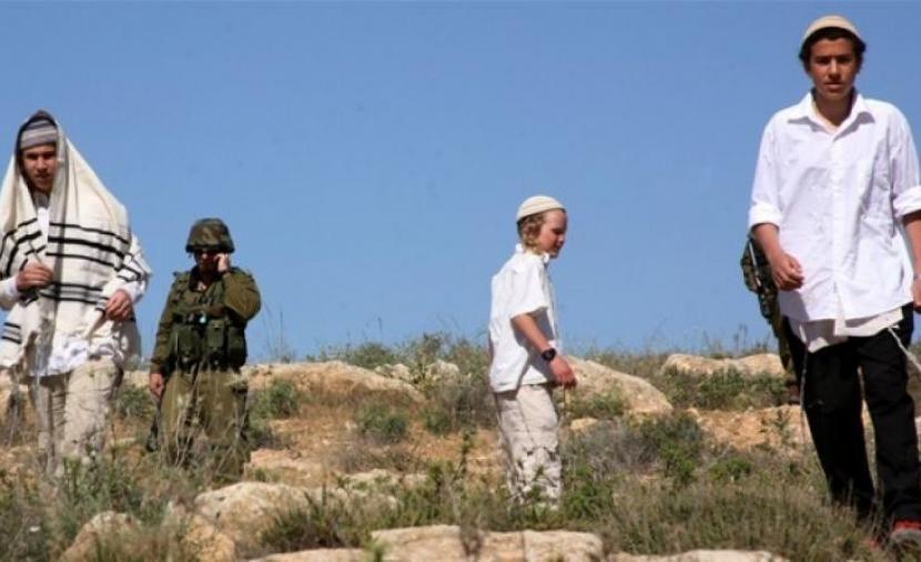 مستوطنون يجبرون رعاة ماشية على ترك مراعيهم في الأغوار الشمالية