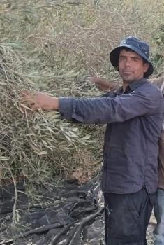 شهيد برصاص المستوطنين في بلدة الساوية جنوب نابلس