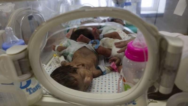 الاحتلال ترك 5 أطفال رضع حتى التحلل في حضانة مشفى النصر