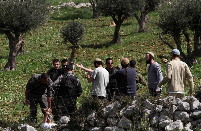 مستوطنون يعتدون على مزارع في ديربلوط غرب سلفيت