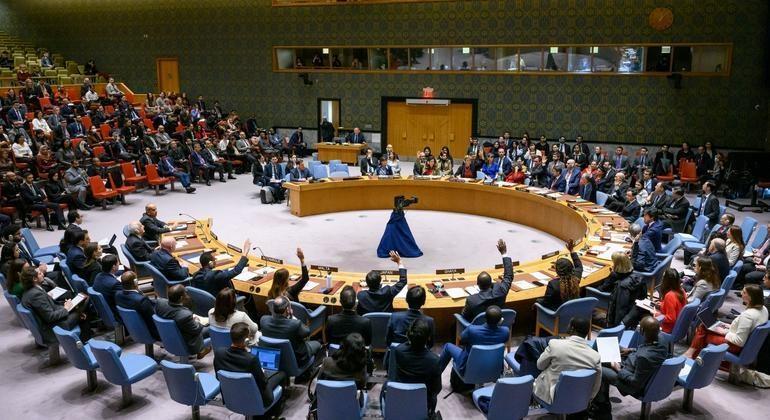 رئيس مجلس الأمن الدولي: غزة ستظل محور اهتمام المجلس طيلة الشهر