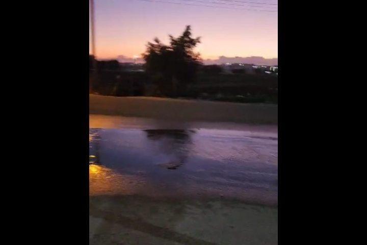مستوطنو