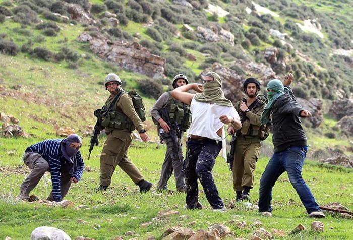 مستعمرون يدمرون ويحرقون ممتلكات زراعية ومضخات مياه في بيتللو شمال غرب رام الله