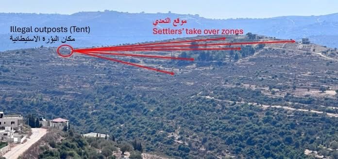 مستعمرون يكسرون أشجار زيتون ويسرقون معدات زراعية في عطارة شمال غرب رام الله