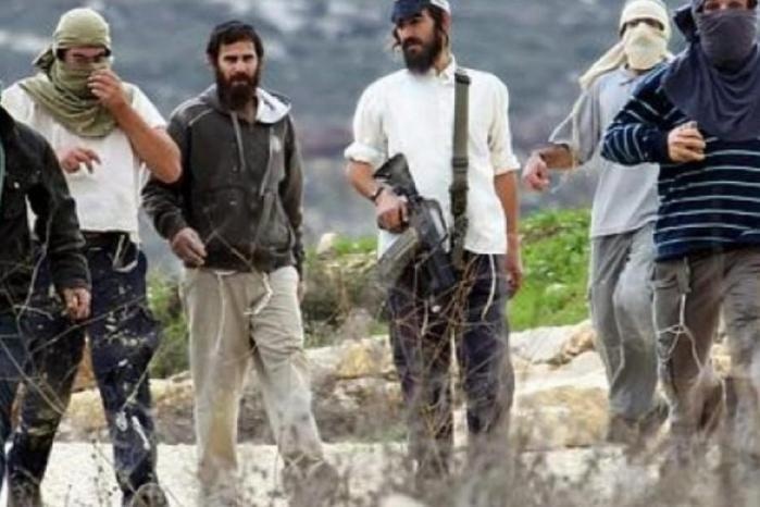مستعمر يدهس طفله في السموع جنوب الخليل