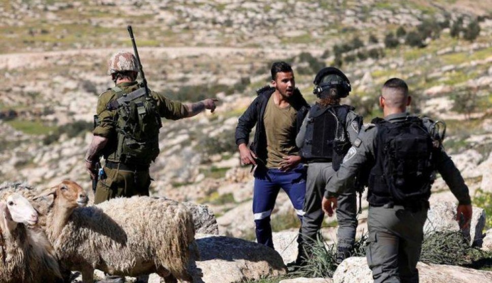 اعتقال مواطن بعد اعتداء مستوطنين على رعاة أغنام في مسافر يطا