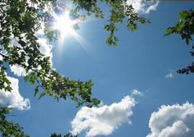 حالة الطقس: أجواء غائمة ودافئة