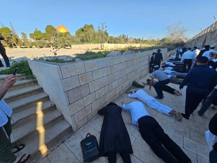 مستعمرون يقتحمون الأقصى ويؤدون السجود الملحمي