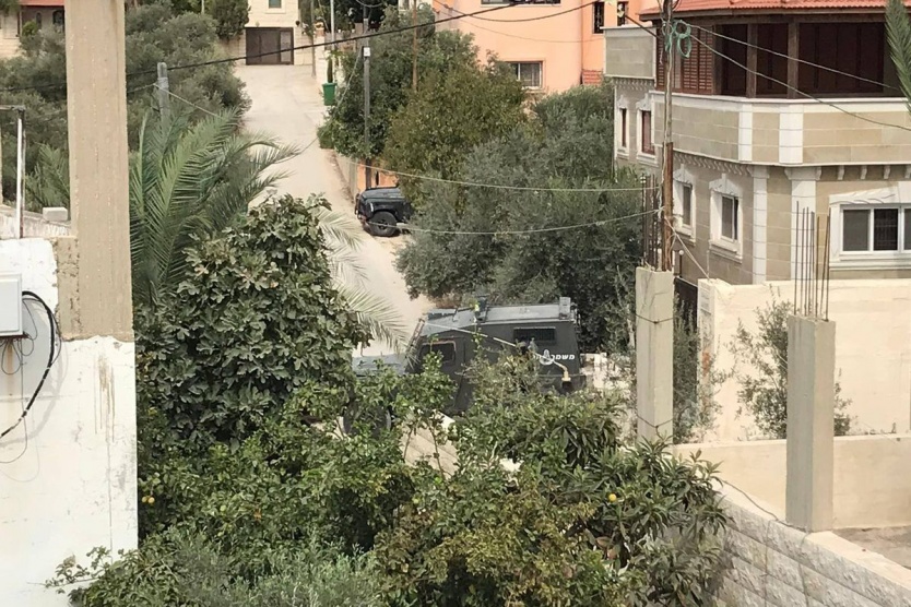 الاحتلال يداهم منتزه في ضاحية شويكة شمال طولكرم ويستولي على حيوانات برية
