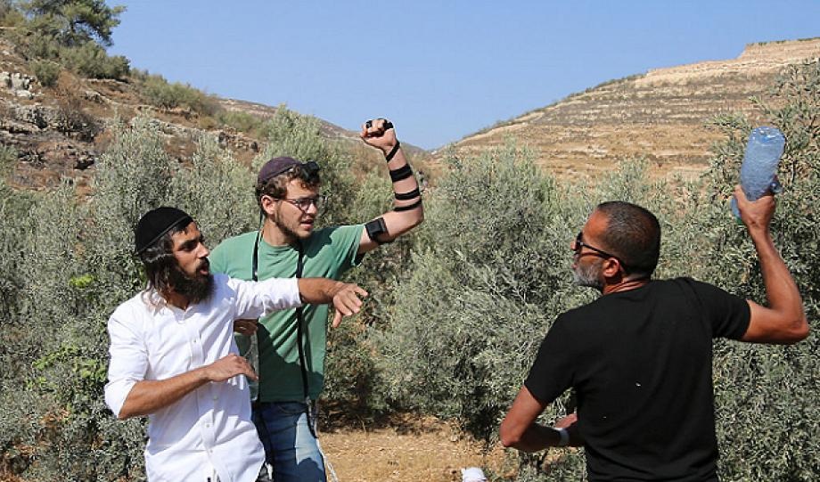 مستعمرون يهاجمون مزارعين خلال قطف الزيتون في أودلا جنوب نابلس