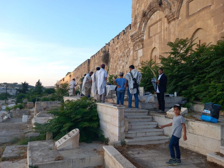 مستعمرون يدنسون مقبرة باب الرحمة المحاذية للمسجد الأقصى